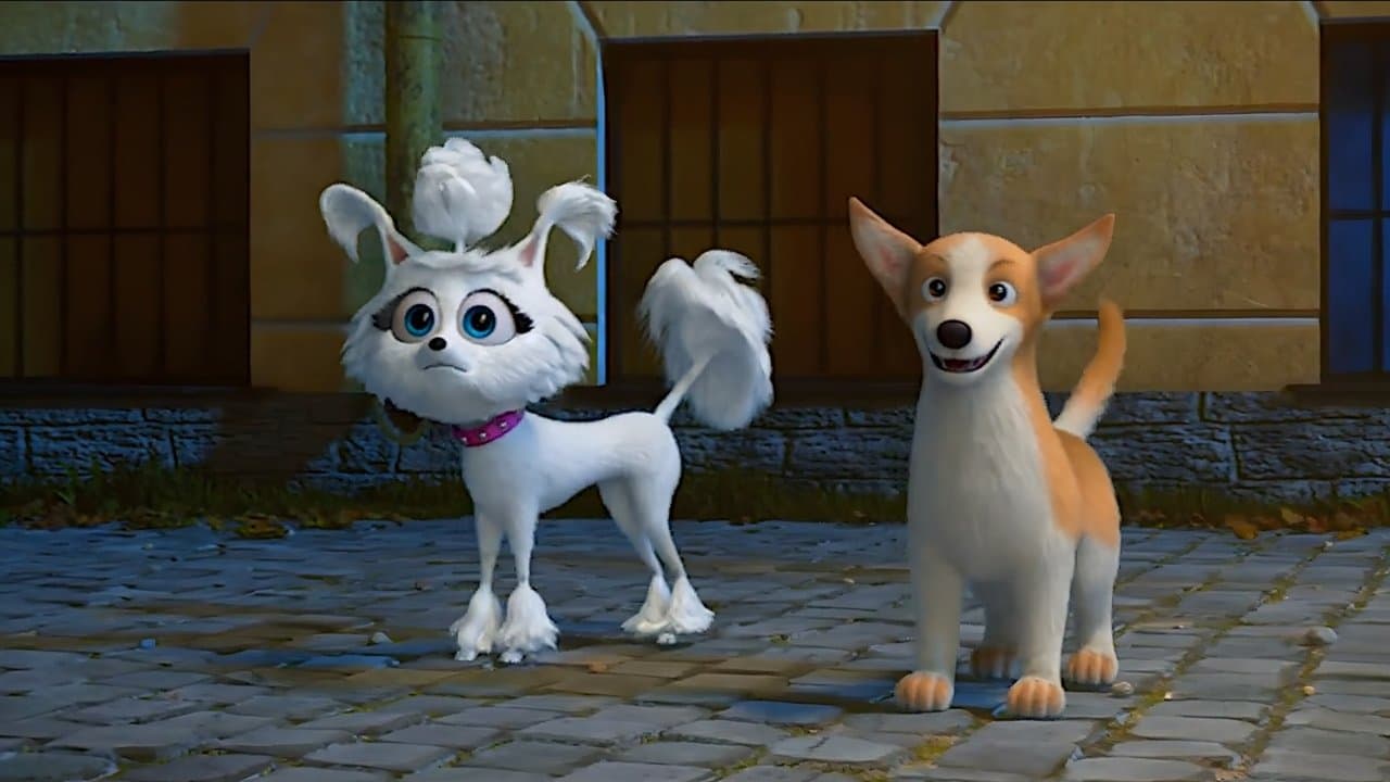 כלבים באופרה